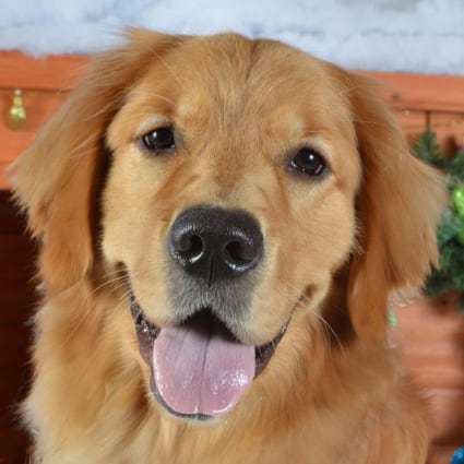 Sandi Clean Team Picture